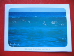 DOLPHINS BYRON BAY AUSTRALIA - Dauphins