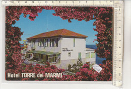 PO6094C# ROMA - ALBERGO HOTEL RISTORANTE TORRE DEI  MARMI  No VG - Cafés, Hôtels & Restaurants