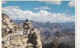 BF17713 Duck On The Rock Grand Canyon National Park Arizona USA Front/back Image - Grand Canyon