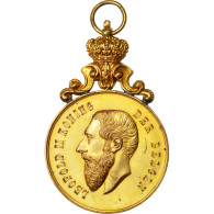 Belgique, Medal, Politics, Society, War, 1905, SUP, Vermeil - Autres & Non Classés