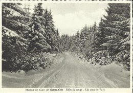 Maison  De  Cure  De  Sainte - Ode -- Effet  De Neige - Un Coin Du Parc.   (2 Scans) - Sainte-Ode