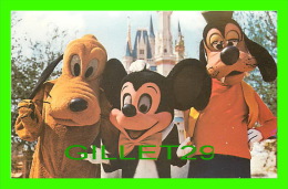 WALT DISNEY WORLD - MICKEY MOUSE, PLUTO & GOOFY - WELCOME TO THE MAGIC KINGDOM - - Disneyworld