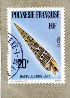 POLYNESIE  : Coquillages : Hastula Strigilata - Mollusque Gastéropode - - Oblitérés
