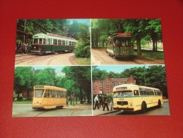 BRUXELLES -   Tram 830 Vers 1901, Tram 321 Vers 1935, Tram 9079 Vers 1960, Bus 8048 Vers 1957 - Vervoer (openbaar)