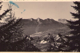 LIENZ , Emberg , Emberrger  Alm - Lienz