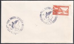 Yugoslavia 1960, Cover W./ Special Postmark "Novi Sad" Ref.bbzg - Covers & Documents