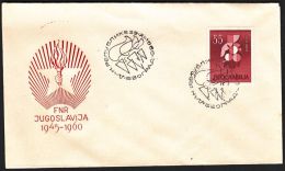 Yugoslavia 1960, Illustrated Cover "Day Of Republic" W./ Special Postmark "Belgrade" Ref.bbzg - Covers & Documents