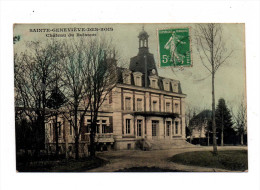 Canton Châtillon Coligny Vue Couleur Du Chateau Du Buisson A Sainte Genevieve Des Bois - Chatillon Coligny