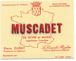 BUVARD MUSCADET SEVRE ET MAINE - PIERRE GUERY - LA CHAPELLE HEUTIN - Liquor & Beer