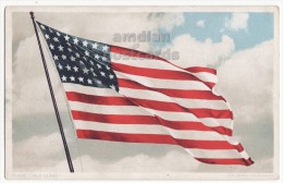 USA - OLD GLORY Waving American Flag - 1910s Detroit Publishing Patriotic Vintage Postcard - Sonstige & Ohne Zuordnung