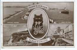 Lamo@ CPSM GOOD LUCK FROM HASTINGS, CARLISLE PARADE, FROM THE PIER, CAT, Format 9cm Sur 14cm Environ, SUSSEX, ANGLETERRE - Hastings