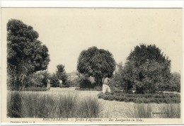 Carte Postale Ancienne République Centrafricaine - Haute Sanga. Jardin D'Agrément. Nola - Central African Republic