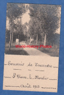 CPA Photo - SAINT PIERRE Le MOUTIER - Un Chemin - Paysan Et Deux Vaches - Aout 1913 - Saint Pierre Le Moutier