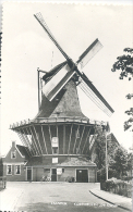 Zaandijk, Korenmolen "de Dood"      (glansfotokaart) - Zaandam