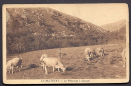 CPA ANCIENNE- FRANCE- LA SALVETAT (34)- LE PATURAGE A CACAVEL- TOUPEAU DE VACHES AVEC BERGER- GROS PLAN - La Salvetat