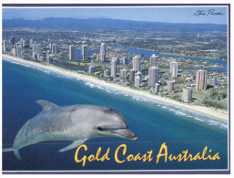 (PH 228) Australia - QLD - Gold Coast With Dolphin - Gold Coast