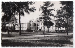 Tavaux - Cités, Les écoles, 1950, éd. E. Protet N° 502 - Tavaux