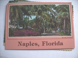 America USA FL Naples - Naples
