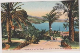 Carte Postale Ancienne,MONACO EN 1914,MONTE CARLO,PALMIER - Spielbank