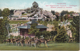 AK Litho Hamburg - Carl Hagenbeck´s Tierpark, Stellingen - Nordische Landschaft Mit Rutschbahn - 1909 (7548) - Stellingen
