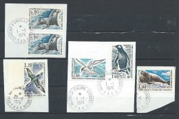 TAAF Lot D'oblitérés  Entre N°55 Et 60 émis En 1976 Oiseaux, Phoque Et Otarie. Cote 57,50 Euros - Used Stamps