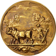 Belgique, Medal, Business & Industry, 1931, SUP, Bronze - Andere & Zonder Classificatie