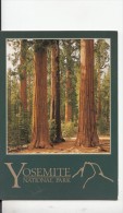 BF18675 Sequoia Redwoods Mariposa Gro Yosemite Nat Park Ca USA  Front/back Image - Yosemite