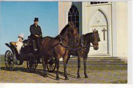 CARRIAGE CHARTER - Yesterday's Transportation Today,  Commercial Card - Taxis & Cabs