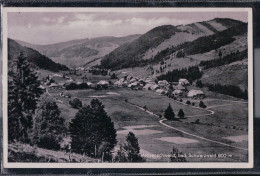 St. Blasien - Menzenschwand - Panorama - St. Blasien