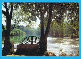 L´ISLE-sur-SORGUE (Vaucluse) LE PARTAGE DES EAUX. - L'Isle Sur Sorgue