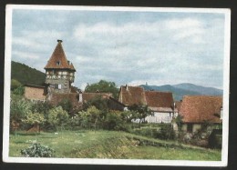 KESTENHOLZ Alsace Bas-Rhin Châtenois - Chatenois