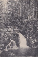 GERARDMER  Saut Des Cuves - Fresse Sur Moselle