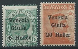 1918-19 VENEZIA GIULIA EFFIGIE 2 VALORI  MNH ** - ED739-3 - Venezia Giulia