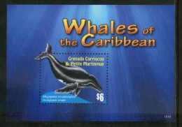 Grenada Grenadines 2008 Whales Of The Caribbean Fish Marine Life Animals Sc 2764 M/s MNH # 5258 - Baleines