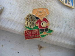 Pin´s Du Club De Bowling "Bon Bois COLMAR" - Bowling