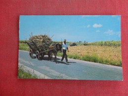 Antilles > Barbados ( Native Mule Cart-- Stamp & Cancel  Ref 1456 - Barbades