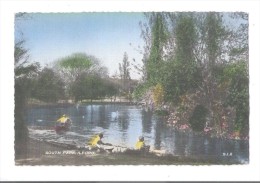 South Park ILFORD People In Boats Rowing Unused POSTCARD Nr BARKING ROMFORD WOODFORD Essex - Andere & Zonder Classificatie