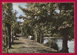 LE BODEO. Barrage De Bosméléac. - Le Pont De La Perche. (C.P.S.M. - Grand Format.) - Gouarec