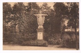 23612 Sysseele Sanatorium Elisabeth - H Hart - Statue De Sacre Coeur - Damme