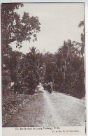 LAOS . ELEPHANTS SUR LA ROUTE DE LUANG PRABANG  . Fernand Nathan .F.N. - Laos