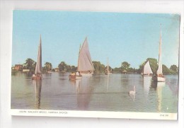 SOUTH WALSHAM BROAD NORFOLK BROADS UNUSED OLD POSTCARD NORFOLK - Sonstige & Ohne Zuordnung