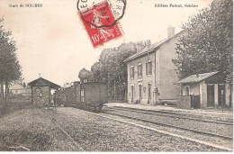 49 - SEICHES : LA GARE . TRAIN . - Seiches Sur Le Loir