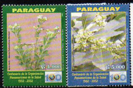 PARAGUAY 2002. Plantes Médicinales (2) - Heilpflanzen