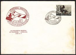 Yugoslavia 1960, Illustrated Cover "Congress Bookkeeping In Bled"  W./ Special Postmark "Bled", Ref.bbzg - Covers & Documents
