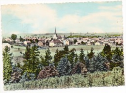 28685  -   St  Vith    Pano    Couleur - Saint-Vith - Sankt Vith