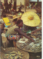 Africa,Fishing Sellers, Marchandes De Poissons,-  Old Photo Postcard - Non Classés
