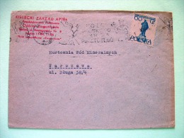 Poland 1960 Cover Sent Locally - Micklewicz Statue - Brieven En Documenten