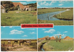 1980 GROETEN VAN TERSCHELLING - Terschelling