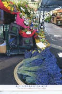 Le Vieux Nice : Marché Aux Fleurs Cours Saleya - Photo Blanc-pattin - Photoguy - Markets, Festivals