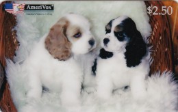 United States, SKU-23511, American Cocker Spaniels, Dogs, Only 600 Issued, 2 Scans. - Amerivox